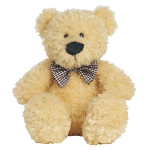 Big 22 Inch Teddy